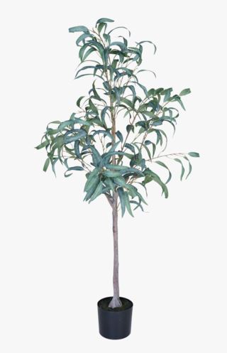 hemtex Eucalyptus curved leaves växt grön