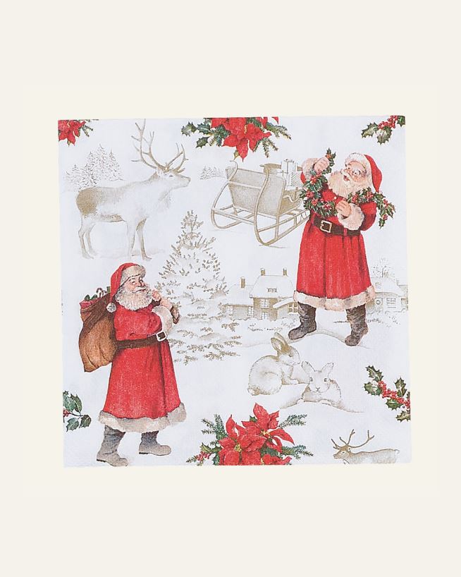 Pappersservetter multi/röd - 33x33 cm multi/röd - 1