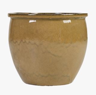 Abigail kruka ljusbrun