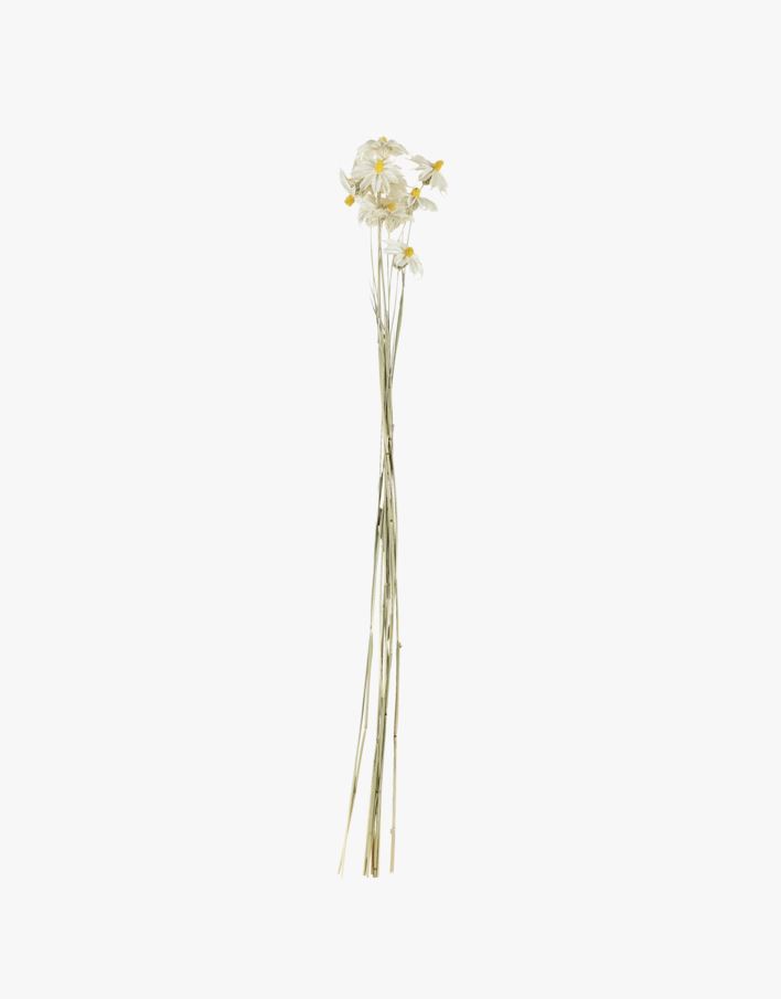 Torkade blommor vit - 60 cm vit - 1
