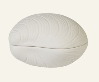 Hemtex | Shell Dekoration Vit - 11,3x10,3x7 Cm