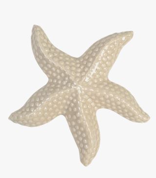 Hemtex | Seastar Dekoration Beige - 17,2x16,8x3 Cm