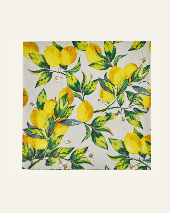 Pappersservetter multi/beige - 33x33 cm multi/beige - 1