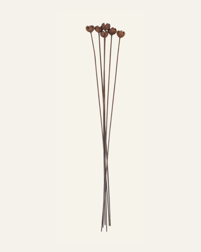 Torkade blommor brun - 60 cm brun - 1