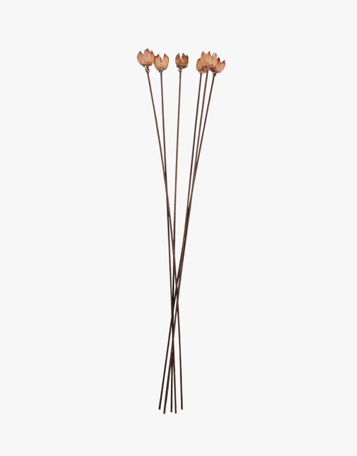 Torkade blommor natur - 60 cm natur - 1
