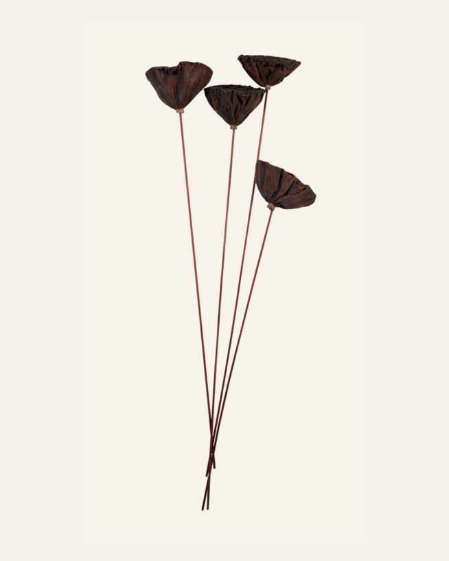 Torkade blommor brun - 60 cm brun - 1