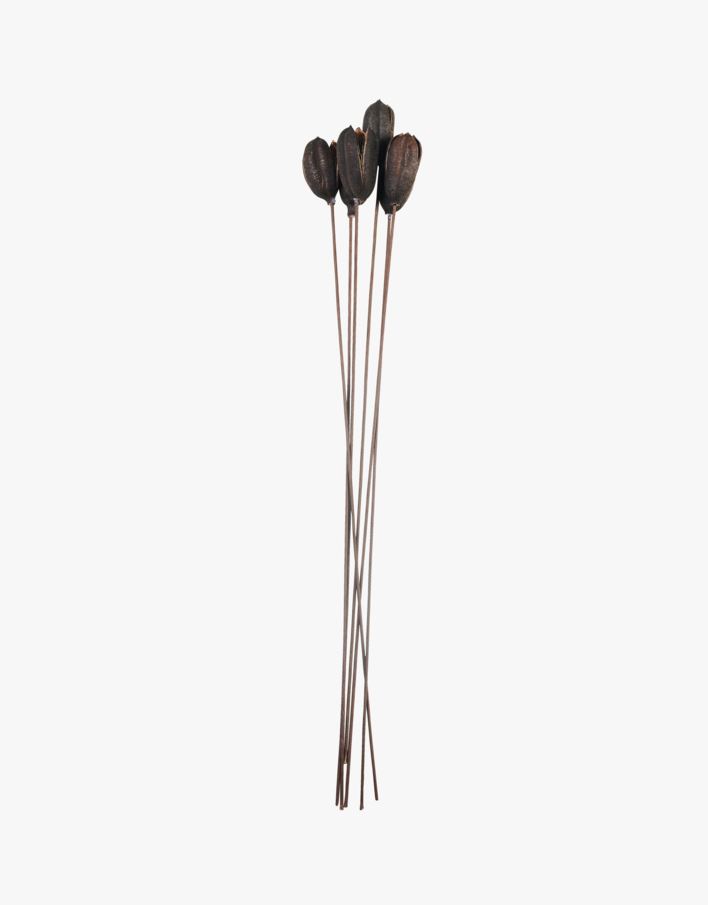 Torkade blommor brun - 60 cm brun - 1