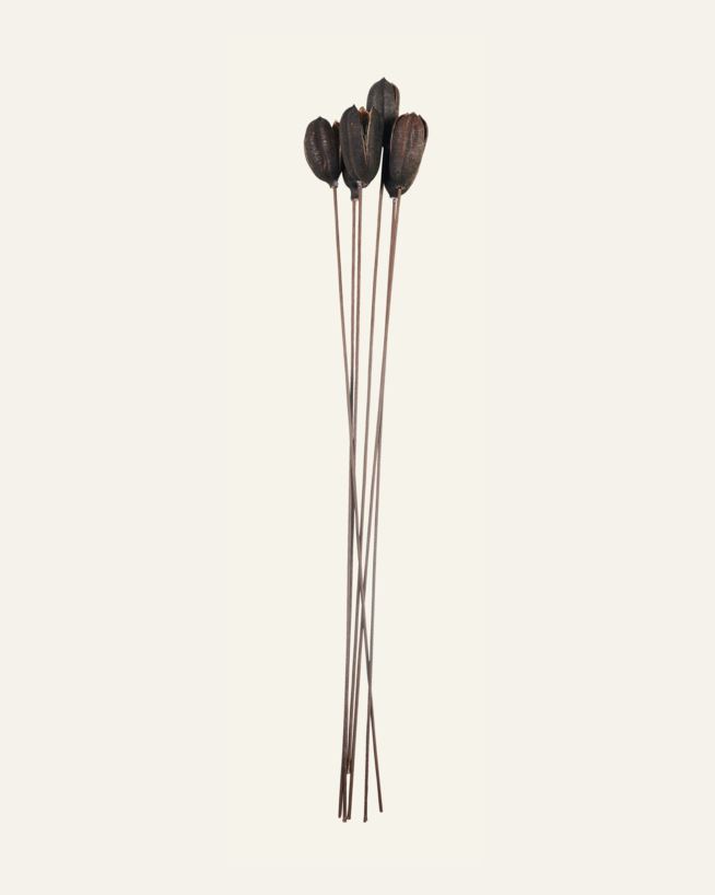 Torkade blommor brun - 60 cm brun - 1