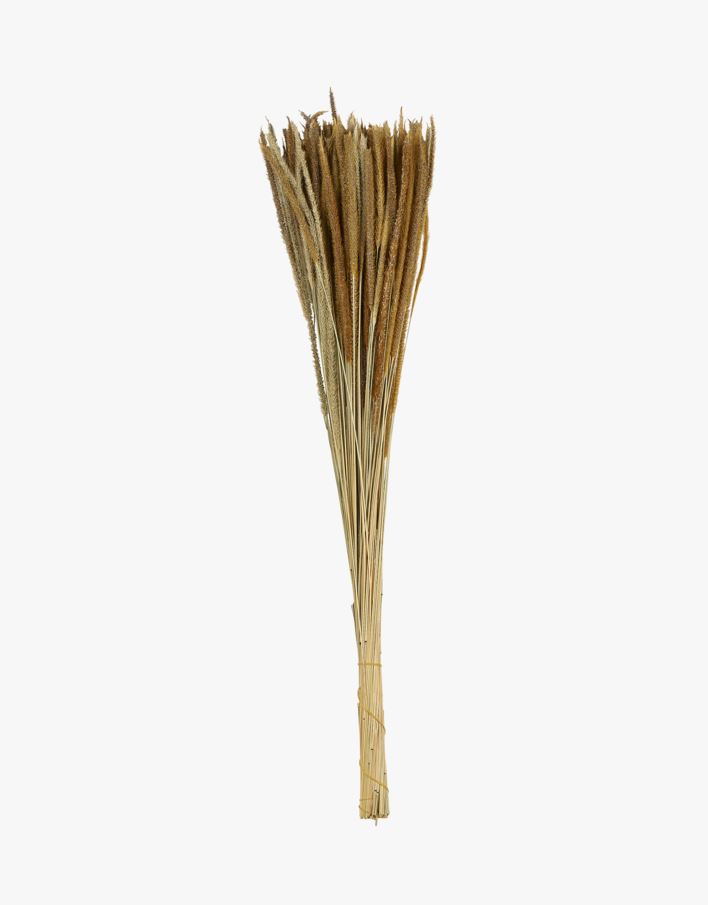 Torkade blommor natur - 60 cm natur - 1