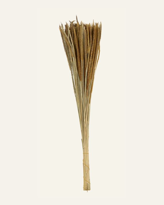 Torkade blommor natur - 60 cm natur - 1