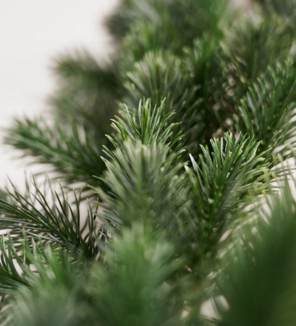 Girlang grön - 4