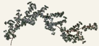 Avery girlanger grön