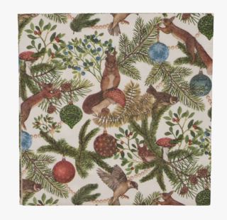 NW Peekaboo middagsservetter multi/vit