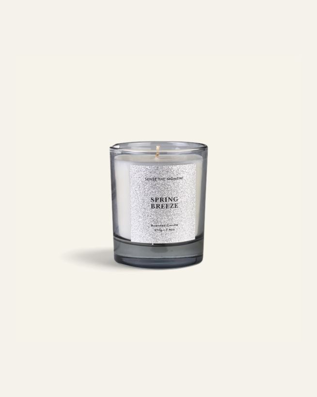 Doftljus silver - 210 g silver - 1