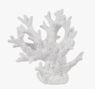 Coral tree dekoration vit