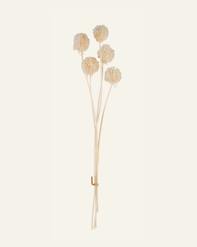 Torkade blommor vit - 30 cm vit - 1