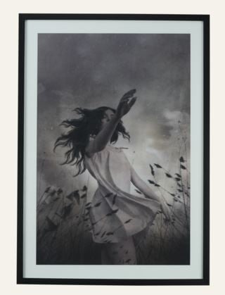 Aren`t you meant to fly tavla svart