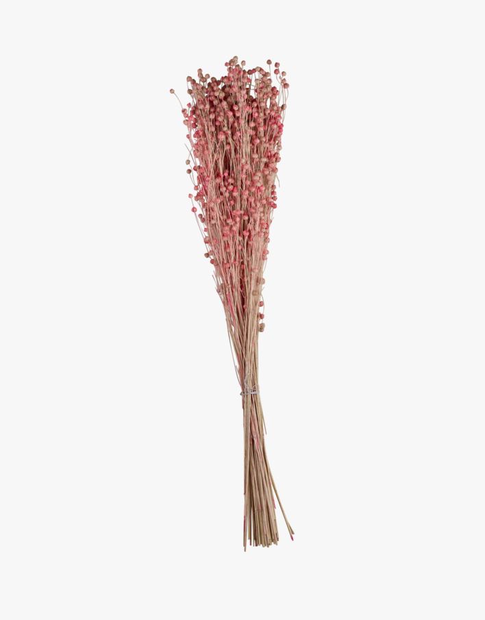Bukett korall - 50 cm korall - 1