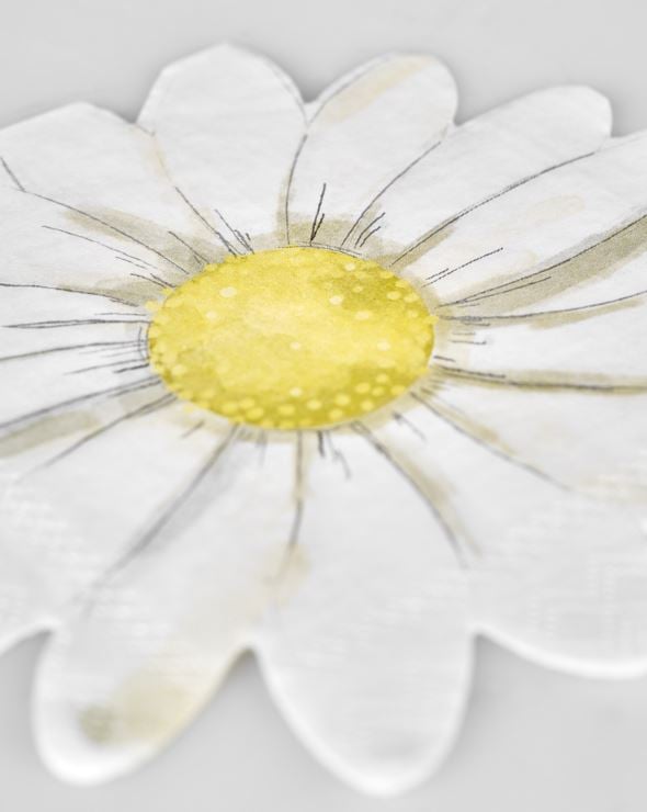 Pappersservetter multi/vit - 3