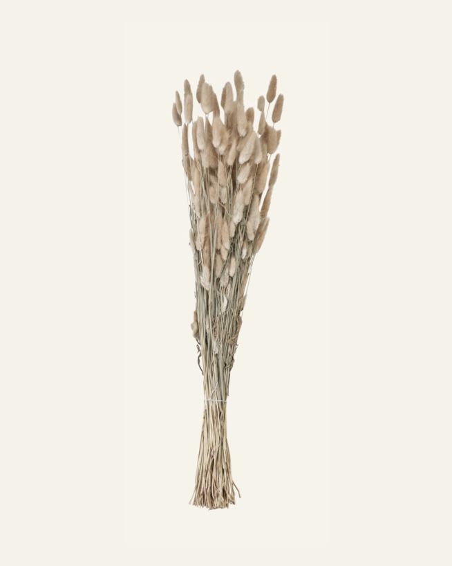 Bukett natur - 70 cm natur - 1