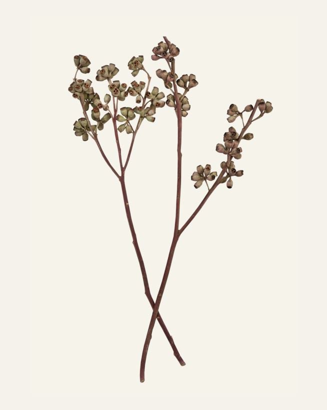 Bukett natur - 50 cm natur - 1