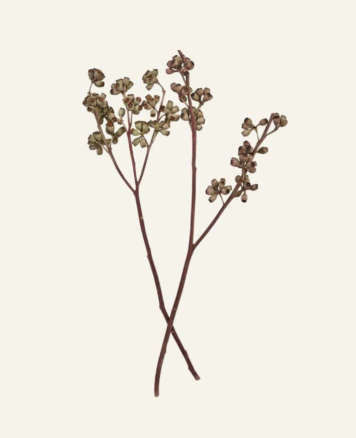 Bukett natur - 50 cm natur - 1