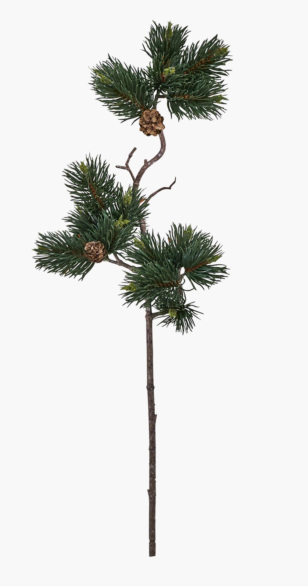 Kvist multi/grön - 54 cm multi/grön - 1