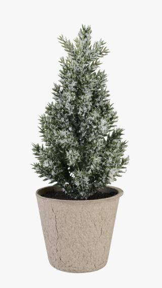 Noel julgran ljusgrön