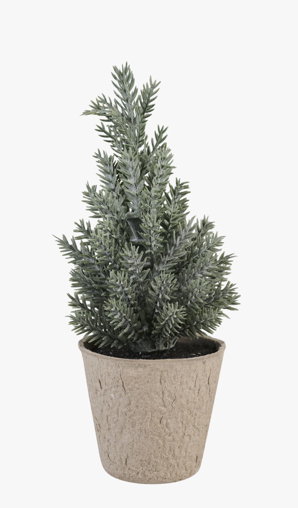 Julgran havsgräs - 6,5x6,5x17 cm havsgräs - 1