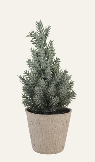 Noel julgran havsgräs