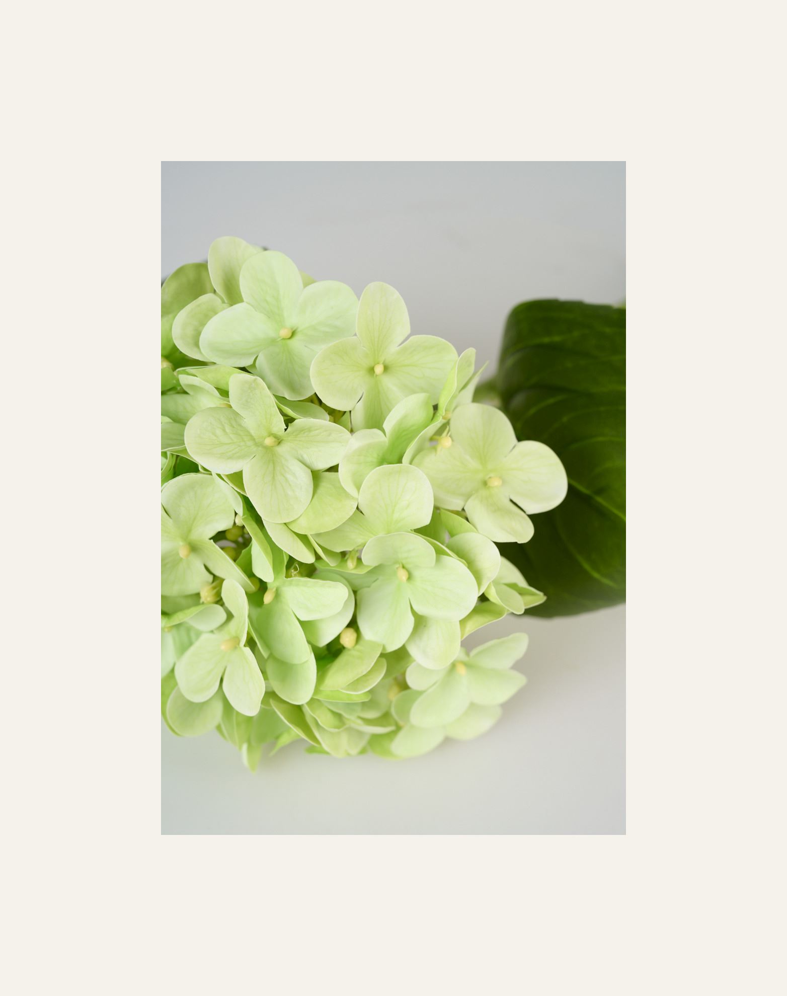 Konstgjord blomma grön - 2