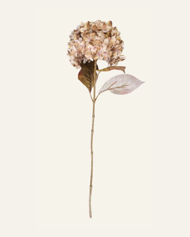 Konstgjord blomma beige - 23x17x38 cm beige - 1