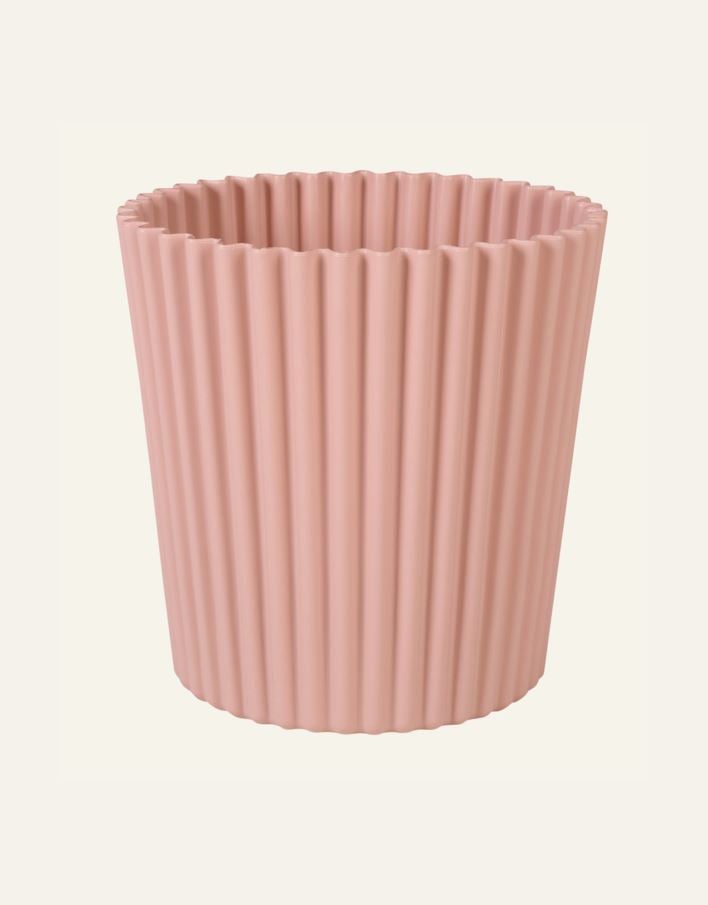 Utekruka puderrosa - 3