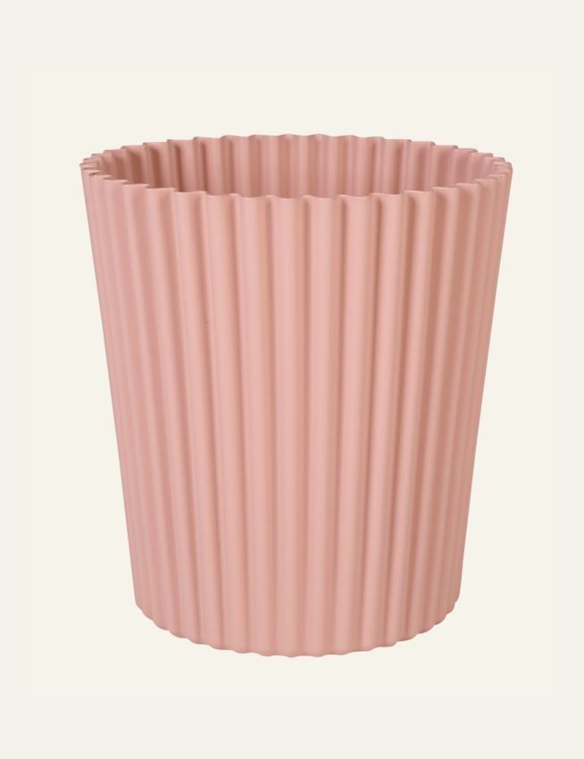 Utekruka puderrosa - 2