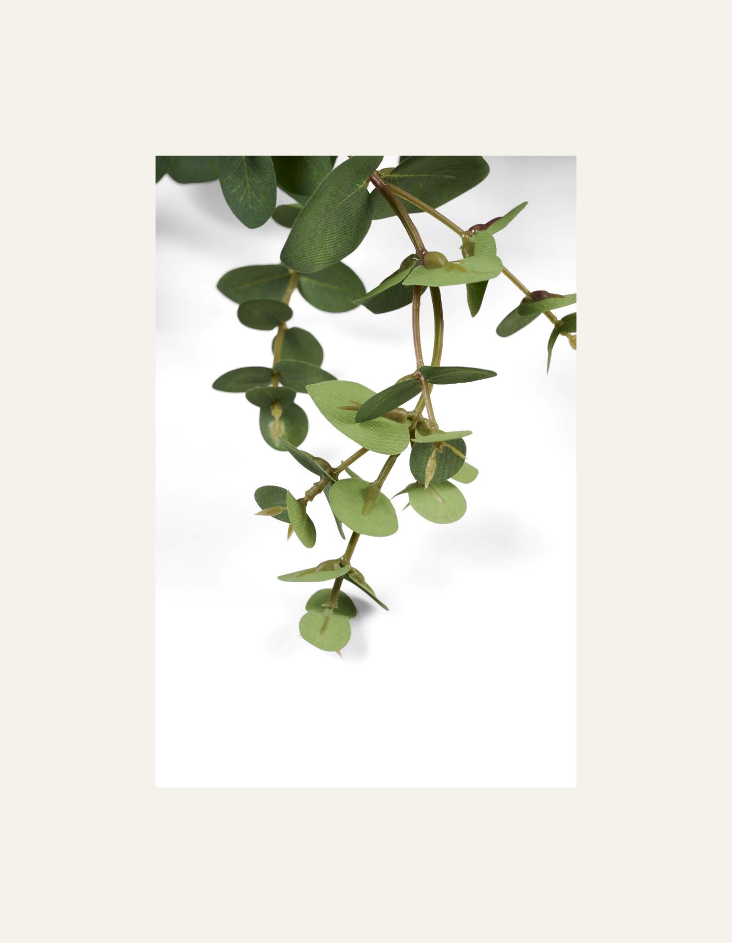 Kvist grön - 2