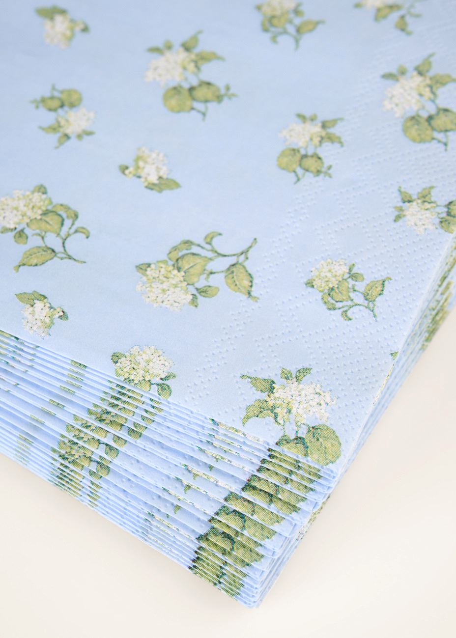 Pappersservetter multi/blå - 2