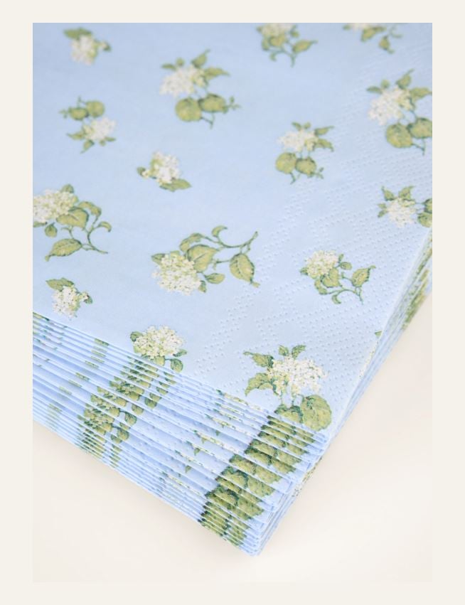 Pappersservetter multi/blå - 2