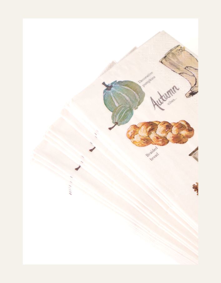 Pappersservetter multi/vit - 2