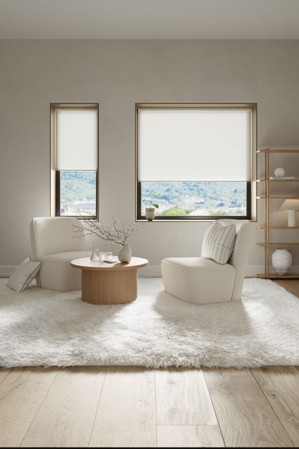 Ljusfiltrerande dubbel plisségardin vit - 2