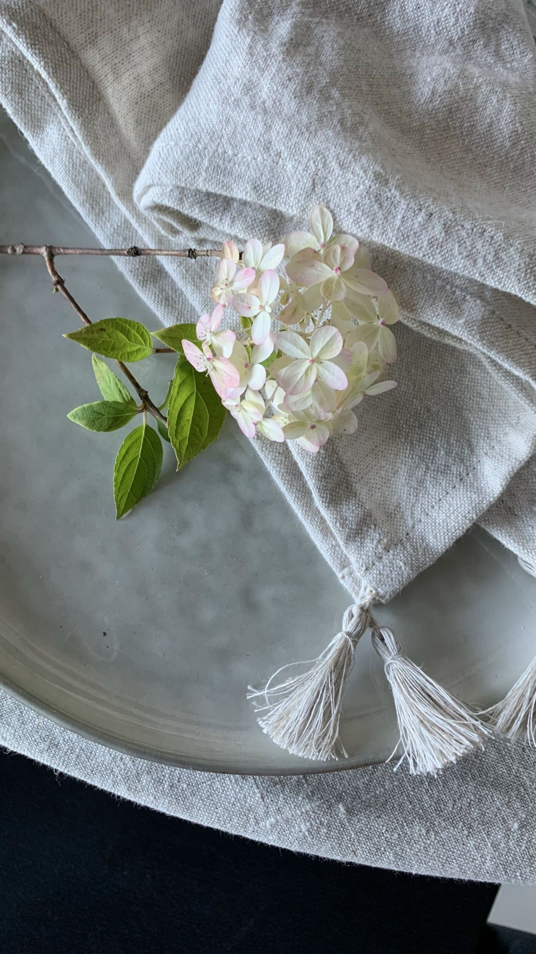 Linneservett natur - 2