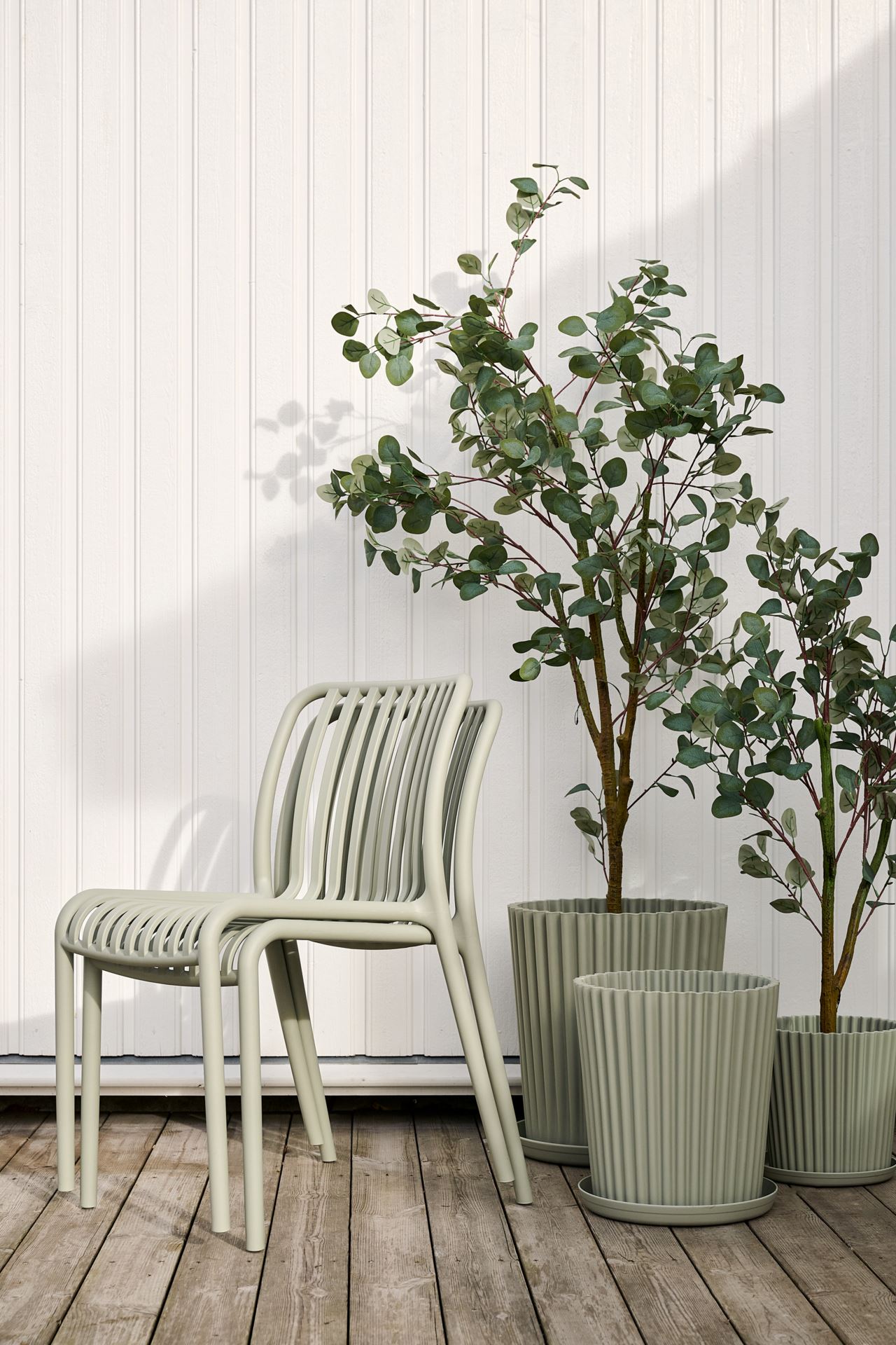 Utekruka grågön - 3