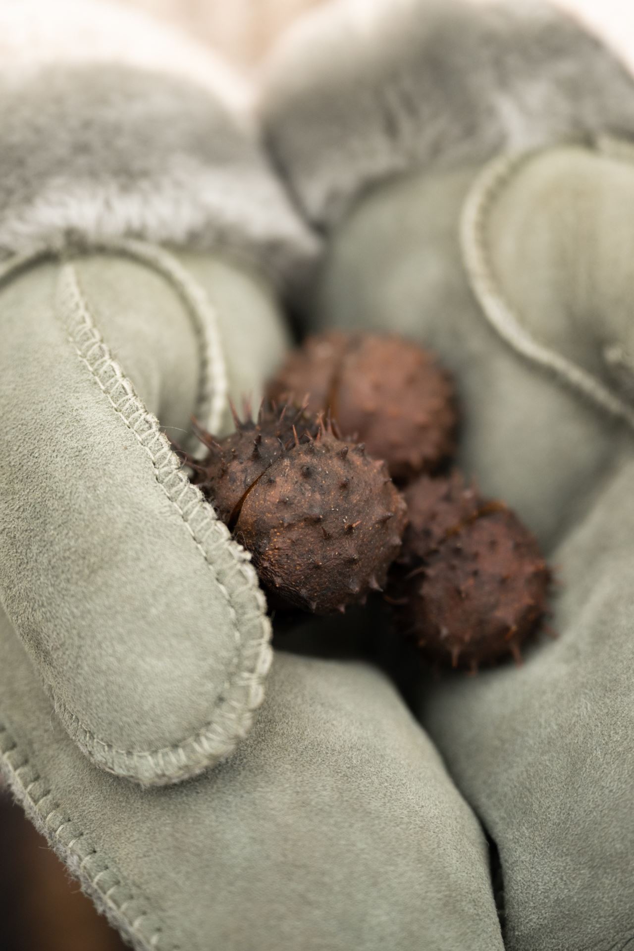 Skinnhandskar olivgrön - 5