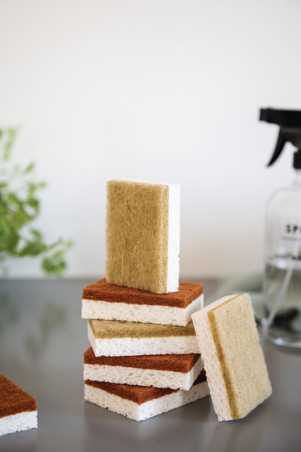 Disksvampar multi - 3