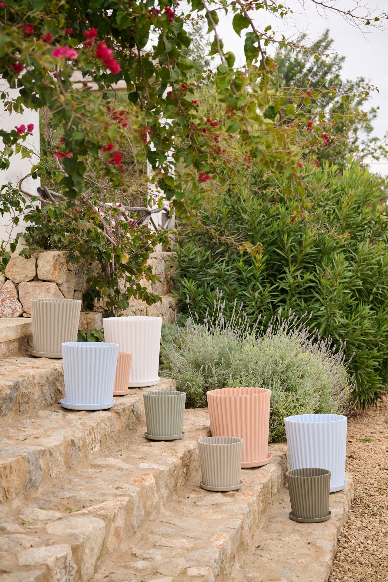 Utekruka ljusblå - 5