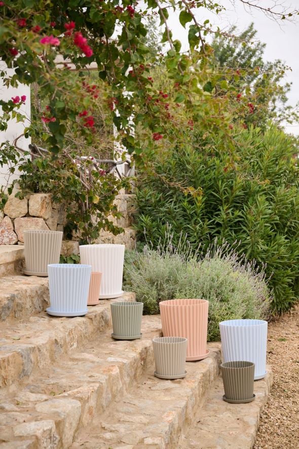 Utekruka ljusblå - 5