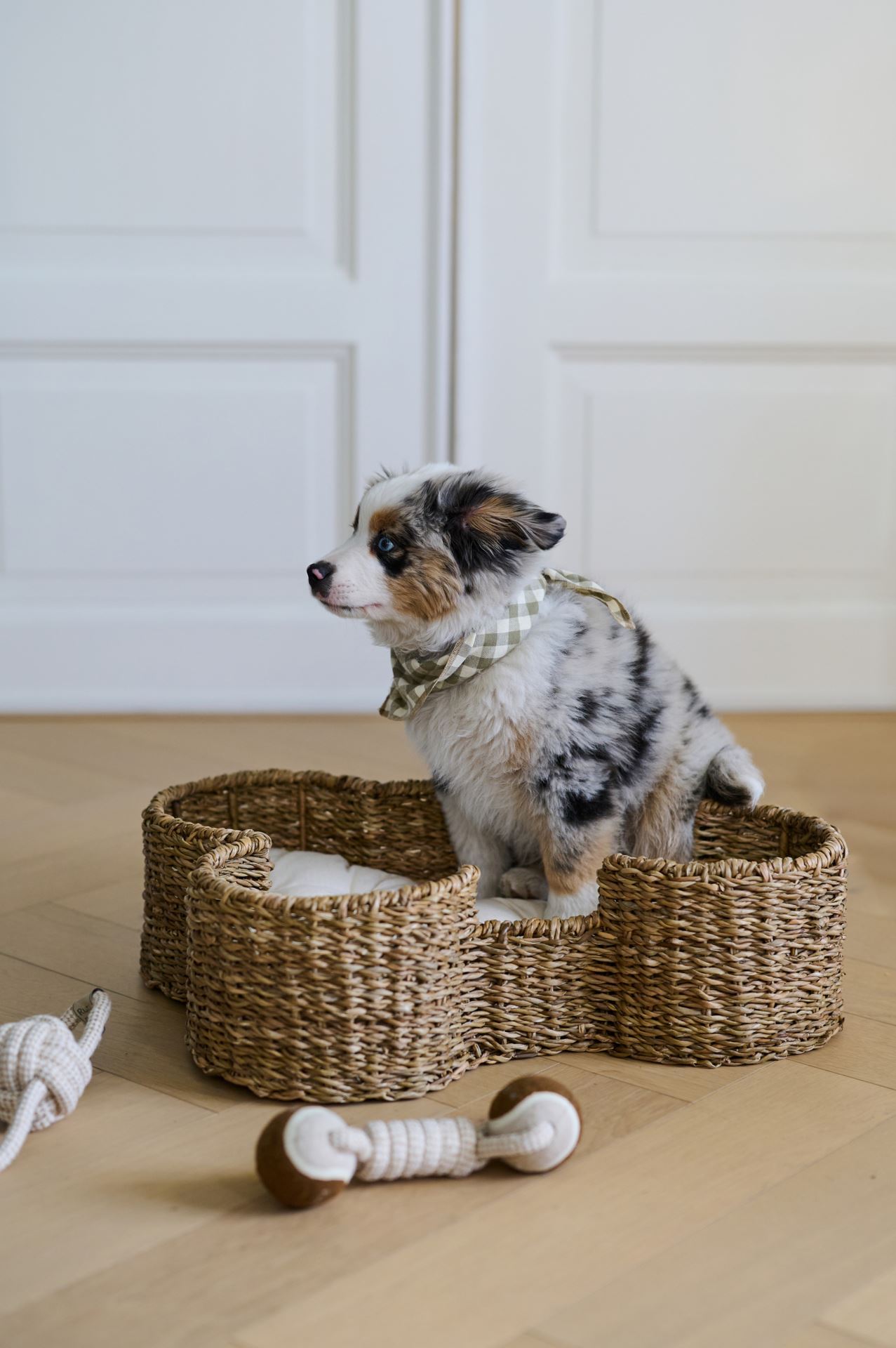 Hundleksak multi/vit - 4