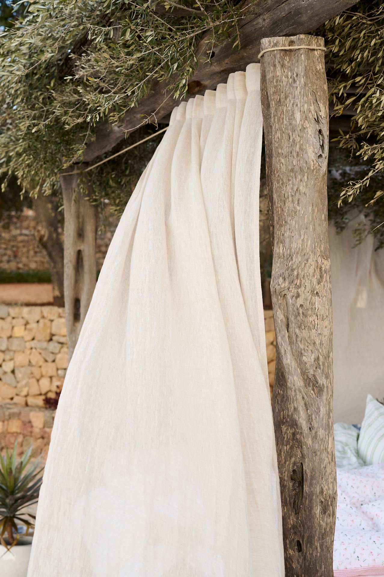 Linnegardin natur - 6