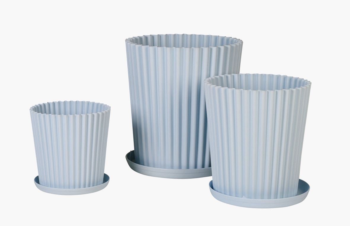 Utekruka ljusblå - 4