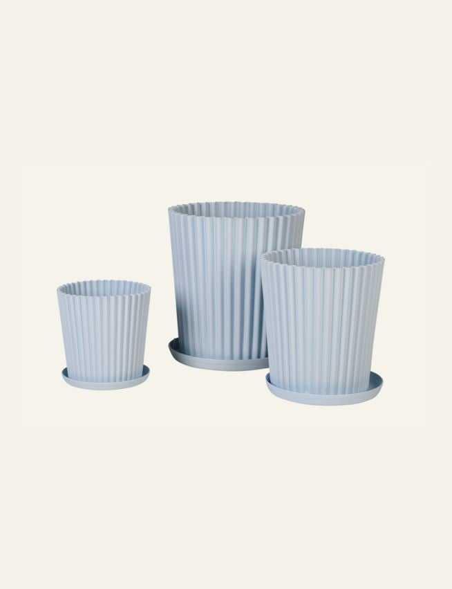 Utekruka ljusblå - 4