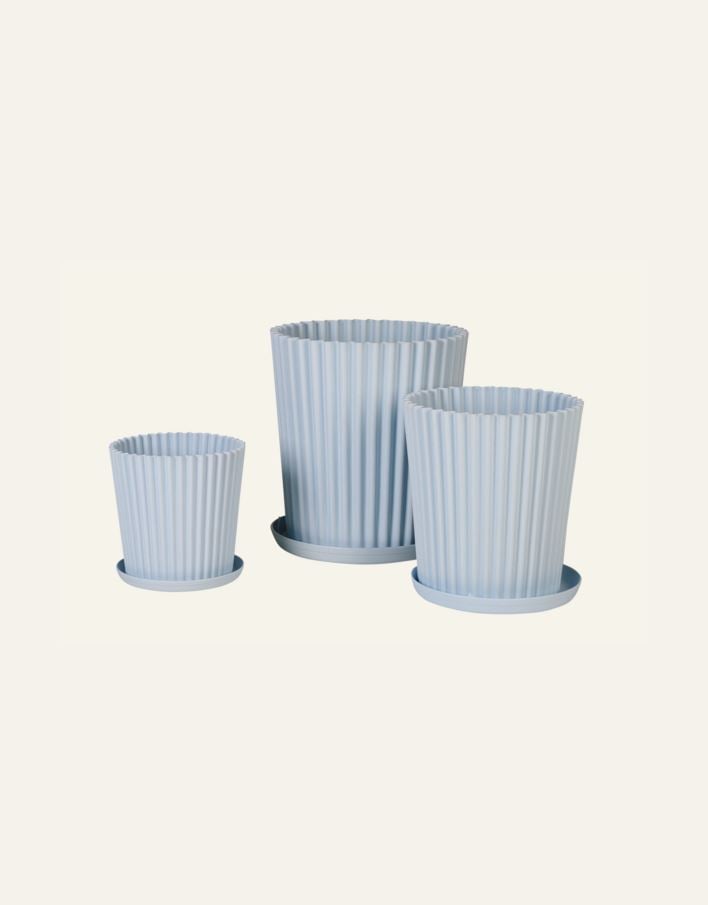 Utekruka ljusblå - 4